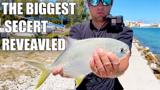 How To Catch Pompano The BEST WAY No BAIT NEEDED Fishing in Tampa Florida [upl. by Briant]