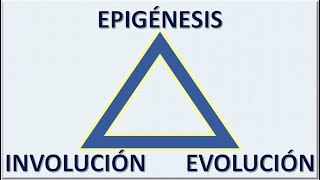 INVOLUCIÓN EVOLUCIÓN EPIGÉNESIS [upl. by Helenka]