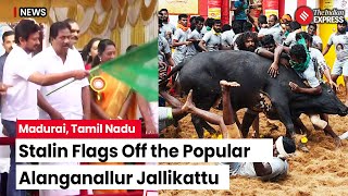 Jallikattu 2024 Udhayanidhi Stalin Flags Off Alanganallurs Legendary Jallikattu Tradition [upl. by Humfrid]