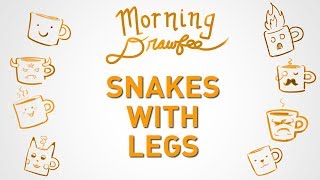 Snakes With Legs  MORNING DRAWFEE [upl. by Frankel136]