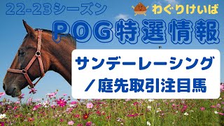 【2223シーズンPOG特選情報】サンデーレーシング＆庭先注目馬編 [upl. by Eagle]