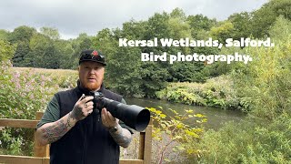 Kersal Wetlands Bird Photography [upl. by Erhard]