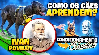 O SEGREDO PARA TREINAR CÃES EM ALTO NÍVEL [upl. by Begga]