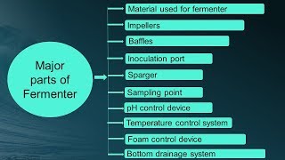 Design of Fermentor in Hindi  Microbiology with Sumi [upl. by Goles]