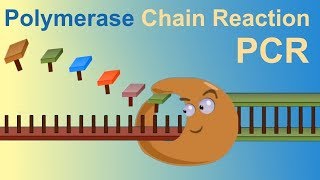 HOW TO DO POLYMERASE CHAIN REACTION PCR [upl. by Clarie963]