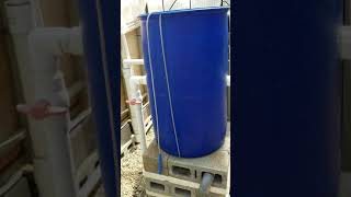 Mineralisation Tank Use Training Aquaponics [upl. by Ajiak420]