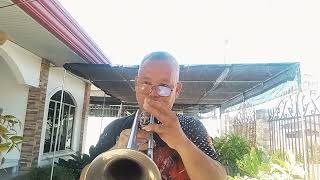 PROMISES  Basia  Trumpet cover by Edison Bartolay [upl. by Northway272]