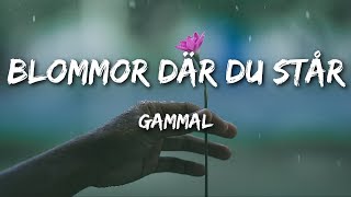 GAMMAL  Blommor där du står Lyrics [upl. by Lraep]