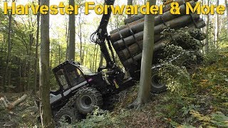 Logset 6F  Brandnew Forwarder  Perfect Fall Weather [upl. by Boyt]