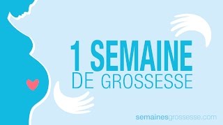 1 semaine de grossesse  Semaine 1 de grossesse  La grossesse semaine par semaine [upl. by Mellar177]