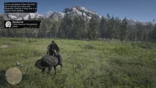 Red Dead Redemption 2  RDR2  HORSEMAN 10 CHALLENGE  WILD AMERICAN STANDARDBRED  LOCATION  HORSE [upl. by Nnylanna]