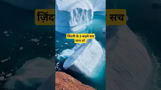 ज़िंदगी के 5 कड़वे सच जान लो sifma satisfying diy motivational yiutubeshort quotes [upl. by Hsital467]