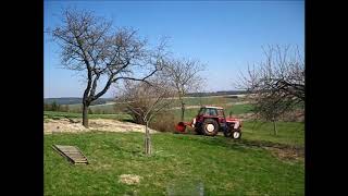 Zetor 8011 trhání stromu  akce třešeň [upl. by Laine]