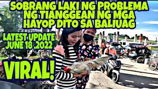 TIANGGE NG MGA HAYOP SA BALIUAG  JUNE 18 2022 UPDATE  MGA SELLER MALAKI ANG PROBLEMA vlog412 [upl. by Azial]