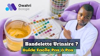 Comment réaliser la bandelette urinaire  Tutorielanalyse [upl. by Atsev]