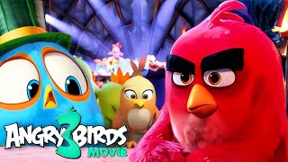 THE ANGRY BIRDS Movie 3 2024  Trailer Release Date amp FIRST LOOK [upl. by Levin]