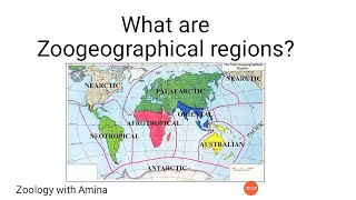 What are zoogeographical regions  How to draw zoogeographical regions map [upl. by Asiuqram]