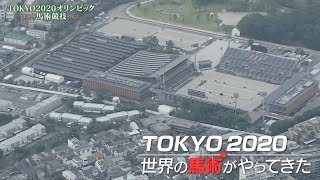 東京2020オリンピック馬術競技 1分ハイライト  JRA公式 [upl. by Campagna927]