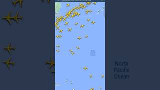 Is this rare to appear in flight Radar24 [upl. by Oirretno]