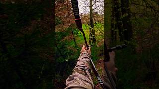 3D ARCHERY 🏹 Weitschuss auf Grizzlybär 🐻 Slow Motion shorts [upl. by Hesta]