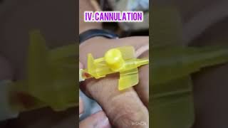 How to iv cannula  iv cannulation technique ivcannulation cannula cannulation cannulation [upl. by Aggarwal269]