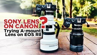 SONY Lens on CANON Trying Amount Lens on EOS R8 [upl. by Yadseut]