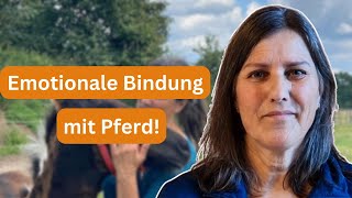 Vertrauen mit deinem Pferd aufbauen mit dieser Methode [upl. by Laine]