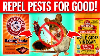 10 BEST Ways To Use Apple Cider Vinegar amp Baking Soda To Repel Pests From Home [upl. by Einahpets]