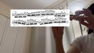 11824 practice log Hindemith Symphonic Metamorphosis flute excerpt practice [upl. by Ricky]