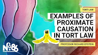 Examples of Proximate Causation in Tort Law No 86 [upl. by Osithe]