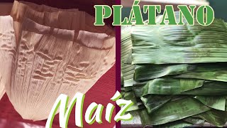 COMO PREPARAR TUS HOJAS DE PLÁTANO Y MAIZ PARA HACER TAMALES [upl. by Lemmueu419]