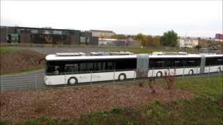 DD  AutoTram® gegen MB Citaro 23102013 [upl. by Bocyaj922]