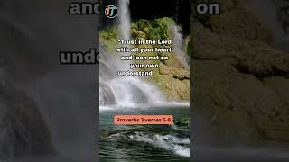 Trust In The LORD  Bible Verse  Proverbs 356 christianliving bibleverseoftheday [upl. by Weinstein]