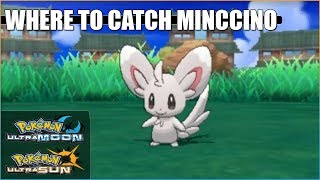 Where to catch Minccino in Pokemon Ultra Sun and Ultra Moon [upl. by Charyl]