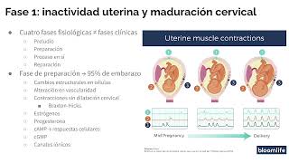 Fisiología del trabajo de parto parte 1 [upl. by Teahan]