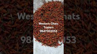 Bird eye chilli Red and Green available contact 9847302053 [upl. by Aeiram]