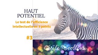 Lindividu à HAUT POTENTIEL 3  Le test de lefficience intellectuelle en 5 points [upl. by Murtha]