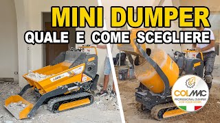 Mini dumper guida allacquisto [upl. by Ayokahs]