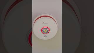 Is Your Home Smoke Alarm REALLY Protecting You [upl. by Ailegnave611]