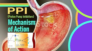 PPI Mechanism of Action  Proton pump inhibitors mechanism of action [upl. by Ayatnwahs]