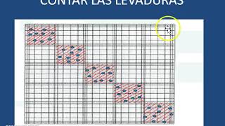 CONTAJE DE LEVADURAS EN CAMARA DE NEUBAUER Y DETERMINACION DE VIABILIDAD [upl. by Drhacir641]