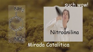 Síntesis y Purificación de Nitroanilina [upl. by Eentruok]