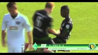 Eljero Elia  Amazing goal  Werder Brema [upl. by Ttenaej]