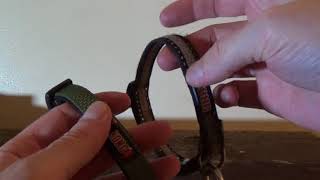 Kong Dog Collar Review  Fail [upl. by Slyke]