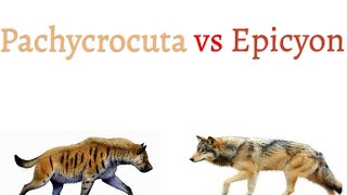 Pachycrocuta vs Epicyon 2019 [upl. by Ariom187]