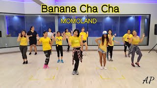 Banana Cha Cha  Momoland  Kpop  Dance Workout [upl. by Mina]