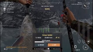 Unique Splake White Moose Lake Fisherman Fishing Planet [upl. by Belloir263]