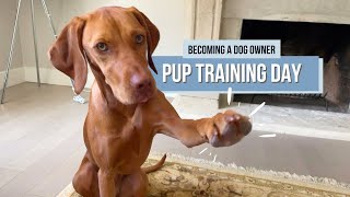 Daily Training Routine With My 2YearOld Vizsla [upl. by Airyk]