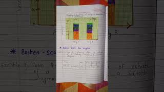 statistics economic chapter 6  Diagrammatic presentation  class 11  notes [upl. by Waverly]