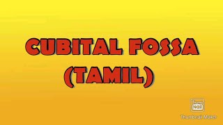 CUBITAL FOSSA ANATOMYTAMIL [upl. by Yenobe263]